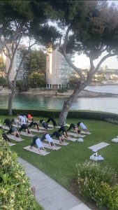 MFY Mallorca Experience